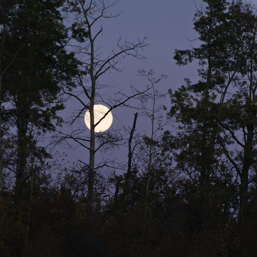 Super Harvest Moon at Ministik Lake Photography Journal by Jonathan